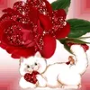 nour3yania