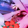 anea.hasun