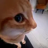 ibela_000