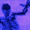 scavenyer.zx