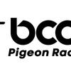 Bcoolracingpigeon