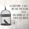 yamile.amaral9