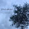 aala_alzaydi
