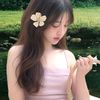 urfv.sshellqq