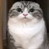 ehkere10