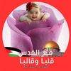 ahmedgamal2219
