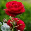 bangladesh0055