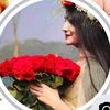 amirhossain4149