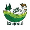 hoachaudalat49