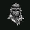 muhammadshariq5911