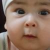 06656chouib