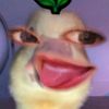 nrlfqrlmaulani