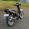 rispanrmadhni17