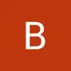 bradmartin371