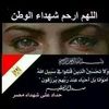 abeersalama135