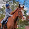 equestrian_jule