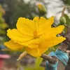 thanhnguyen1902993