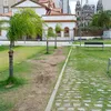 rainhasilva7
