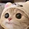 khanhhuyen7477