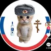 gangsterdog00