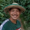 nutkitipongyotikar