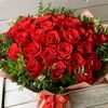 user1202680584587