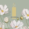 THE CANDELS