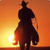 el_caballero7169