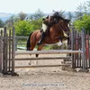 freyahulbert_eq