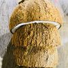kingcoconut99