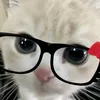 caili_caroli