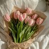 sn_ow_619