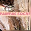 pampas.sochi