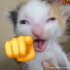 t3zcatlipoc4