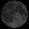 areej_t43