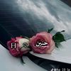 dy9pwkfrjsz3