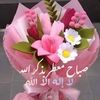 maghnia.aouad