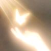 starbutterflydream