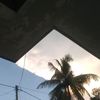 dvin_alxz