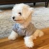 charlie_snuggles
