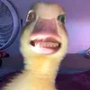 uzumakifzn