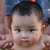 appyloei