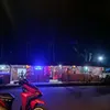 pekz241