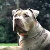 grandadoftwo