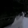 vinxkrm
