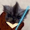 noodle_souptt