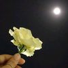 jessy_0085