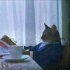 abdo__._