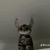 peekaboo4488