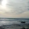 biruamerta_
